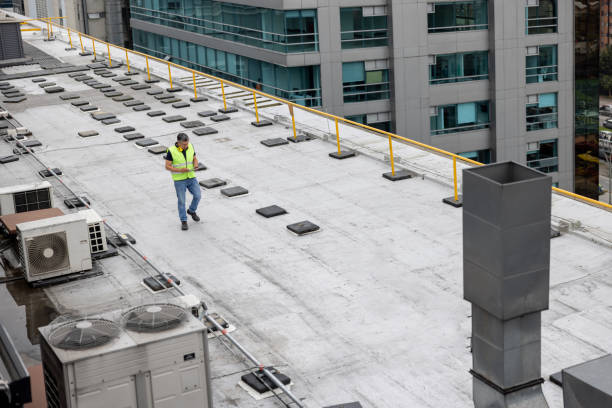Best Skylight Installation and Repair  in Croswell, MI