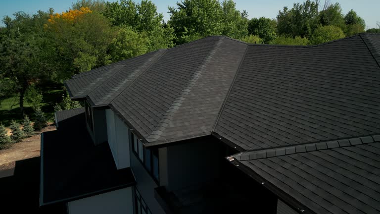 Best Roof Moss and Algae Removal  in Croswell, MI