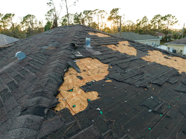 Reliable Croswell, MI Roofing Service Solutions